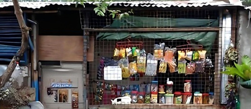 Livelihood Program